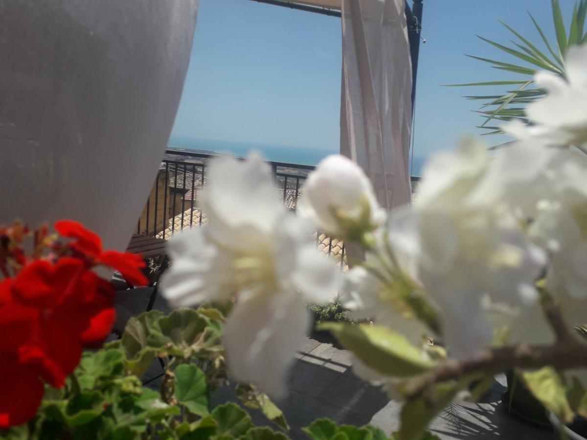 Tesori Di Girgenti Acomodação com café da manhã Agrigento Exterior foto
