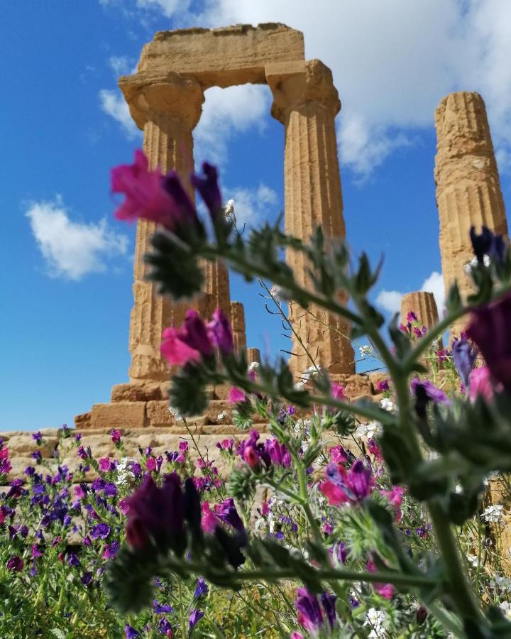 Tesori Di Girgenti Acomodação com café da manhã Agrigento Exterior foto
